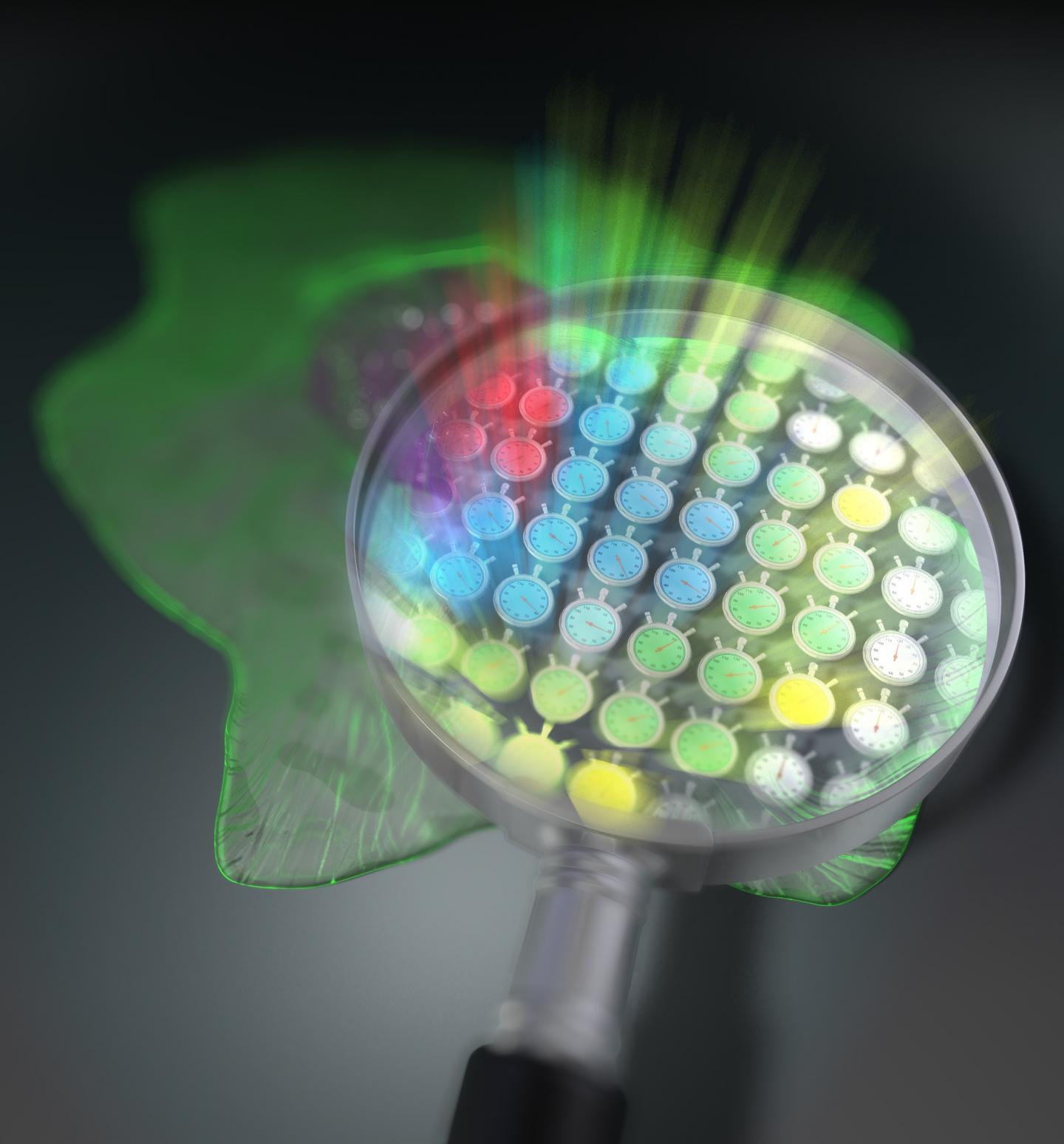 Comb of a lifetime, a new method for fluorescence microscopy