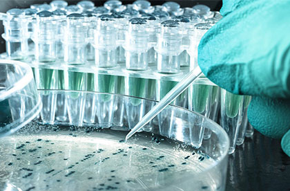 triomed Bioteknoloji Danışmanlığı